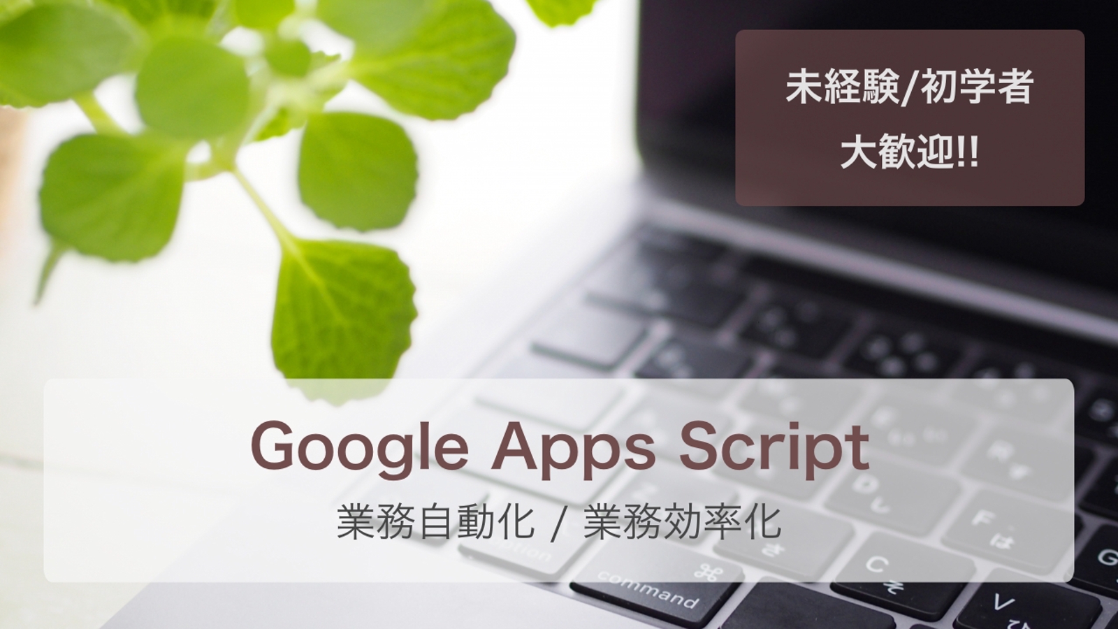 【GoogleAppsScript(GAS)】未経験者/初学者の学習を徹底サポート！-image1