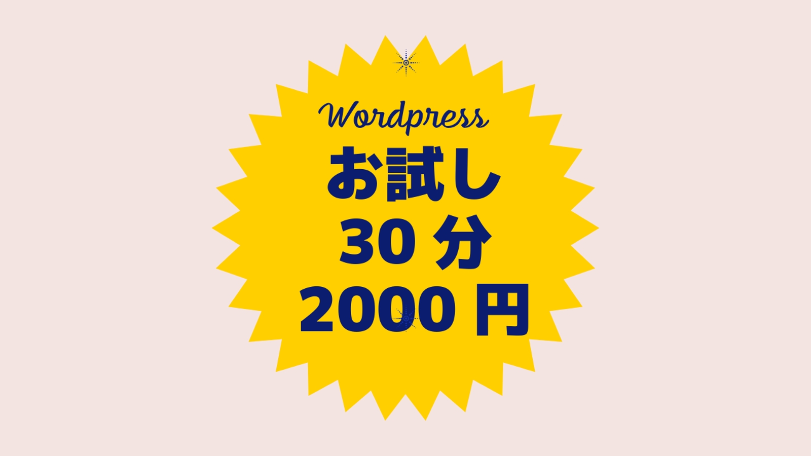 お試し30分2000円　初心者のWordpress全般の疑問・質問にお答えします-image1