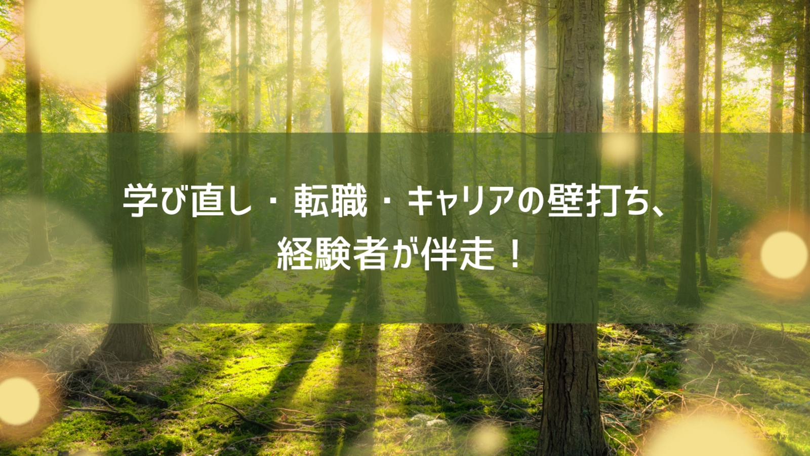 学び直し・転職・キャリアの壁打ち、経験者が伴走!-image1