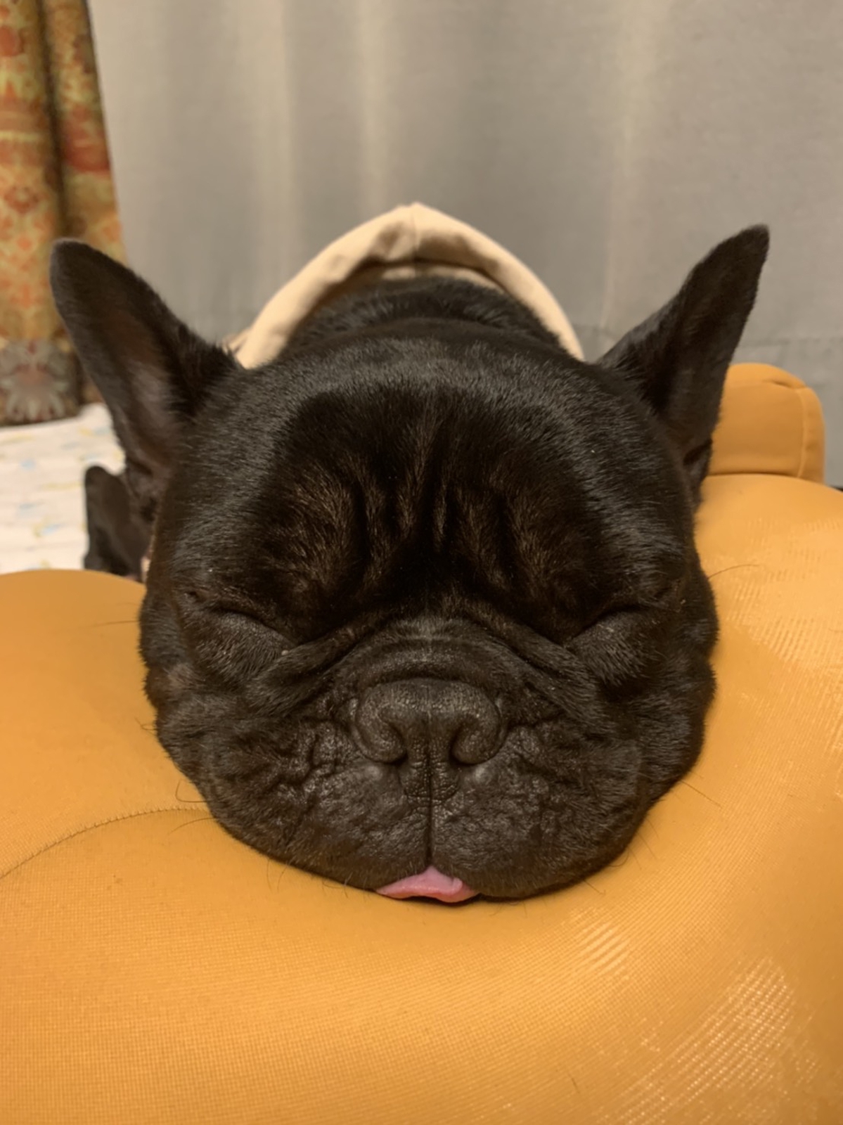子育てから終活まで。お悩みごとに丁寧にお答えします。-image1