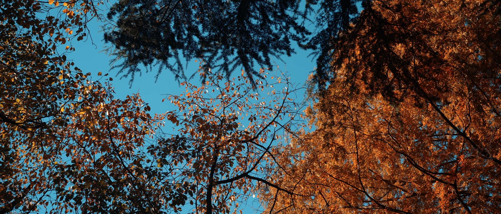 Webエンジニアへの転職サポート-image1