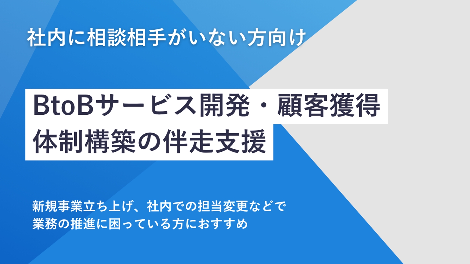 【BtoB向け】サービス開発・案件獲得・体制構築の伴走支援-image1
