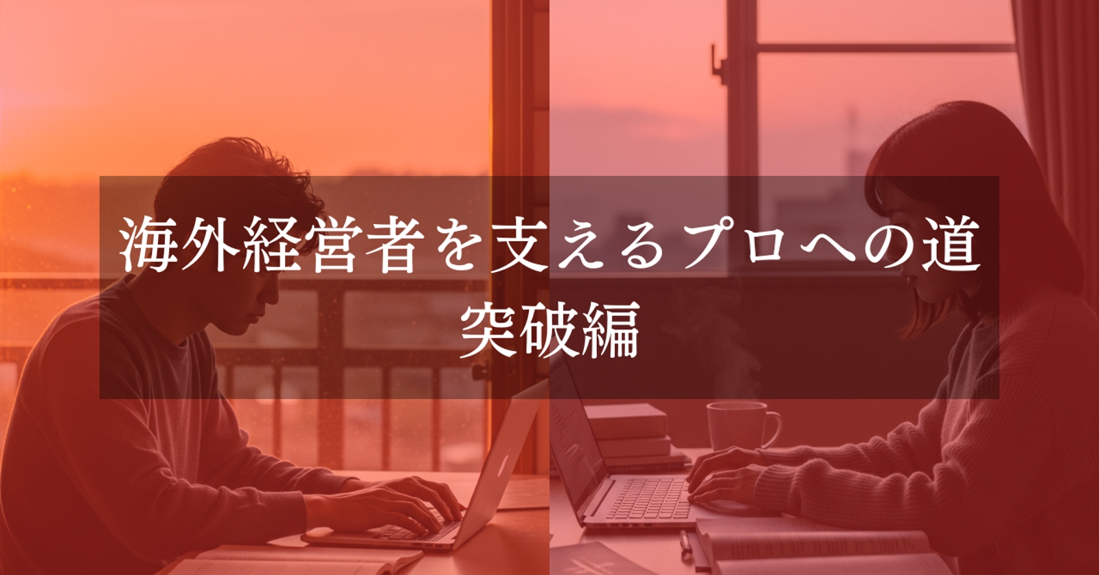 海外経営者を支えるプロへの道｜突破編-image1