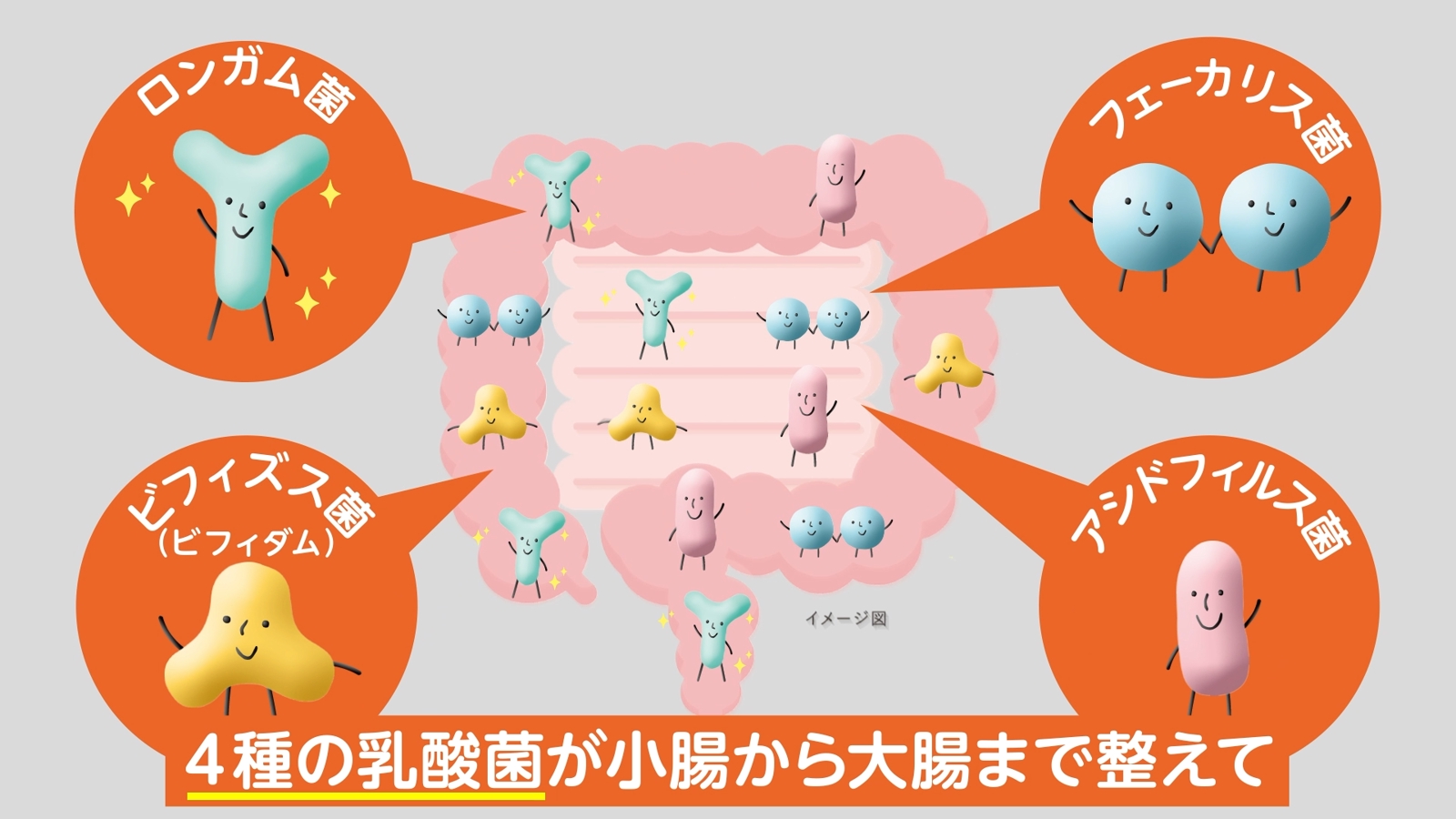 【初心者向け】動画編集の勉強の仕方を教えます！-image4