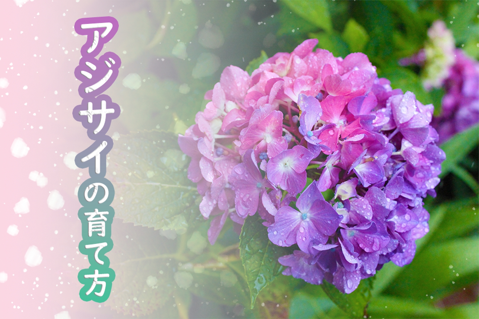あなたに合わせてマンツーマン！初心者向けPhotoshop講座-image4