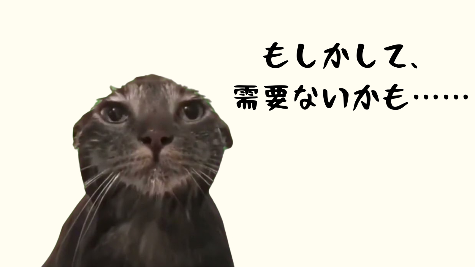 もしかして需要ないのかも