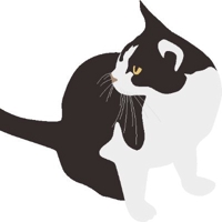 ねこすけ｜アラサー転職