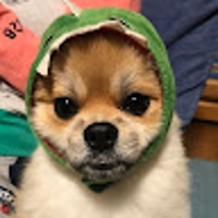 安保克紀