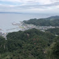 ジンジャー生姜