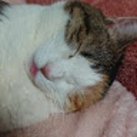 manabu ishita