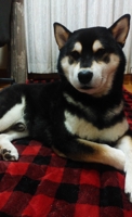 TAKAHIRO
