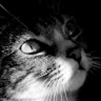 ふぁむぴ（famp）