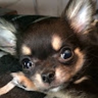 Masumi Kurihara