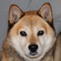 Chigusa＠MOS Excel Expert 満点合格