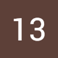 13 Kawasaki
