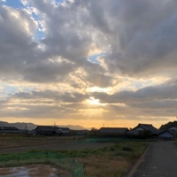 たうより@中星マインド