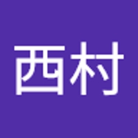 健汰西村