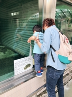うみくん