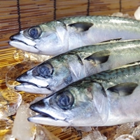 板橋 翼