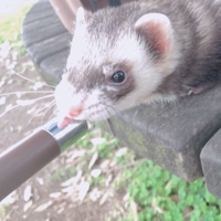 てつ　未経験からwebエンジニア