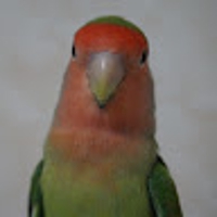 Naho