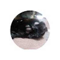 みみこ