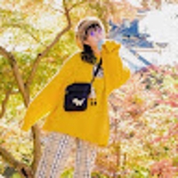 どりー