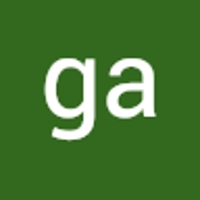 ga bitstreaks