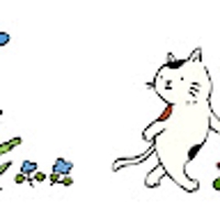 chiko toko