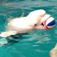 lamp＠駆け出しエンジニア