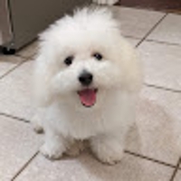 Jun