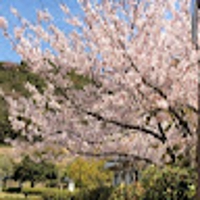 岡田寛人