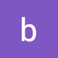 888B borg