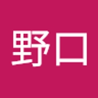 野口奈緒美