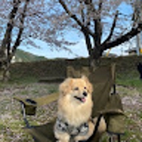 田中美紀
