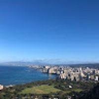 y sakai