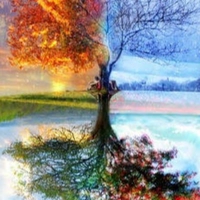 wen Lucker (lucker65)