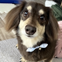 hiromin＠在宅ワークメンター