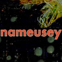 nameusey