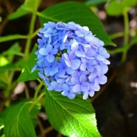 のりあ @TECH::EXPERT 61期