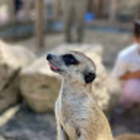畑山和樹