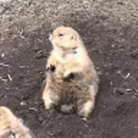 ーーー