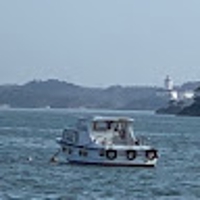 小野知咲