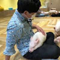 Takuma@C#,Web歴9年