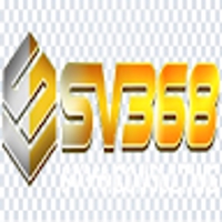 sv368consulting