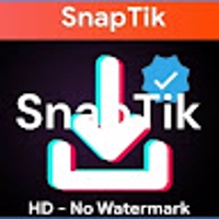 Ssstik TIKTOK download