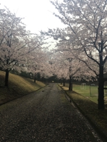 マーケターになるため学習中さん