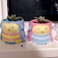 もこ