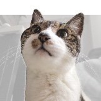 あぢ（z-）そよ風邪