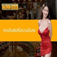 Wink999 support